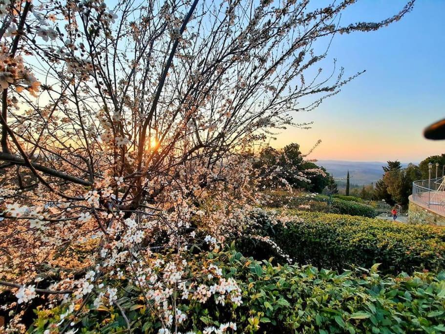 Villa Tutti I Colori Del Chianti Linari Exterior foto